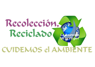 Proyecto Reciclado