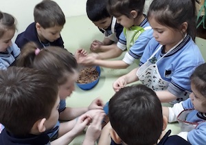 Taller de cocina Taller de cocina