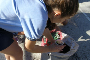 EARTH WEEK EARTH WEEK