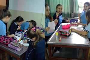4º EP OBSERVACIONES con MICROSCOPIO 4º EP OBSERVACIONES con MICROSCOPIO