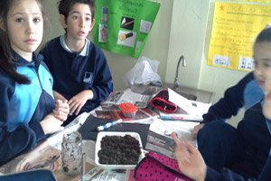 4º EP en el laboratorio 4º EP en el laboratorio