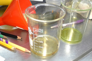 5º año EP trabajó en el Laboratorio de Ciencias 5º año EP trabajó en el Laboratorio de Ciencias