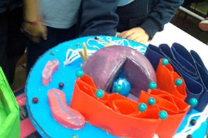 5º EP y LA CÉLULA 5º EP y LA CÉLULA