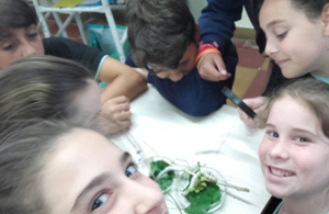 6º EP investigó la vida del gusano de seda 6º EP investigó la vida del gusano de seda