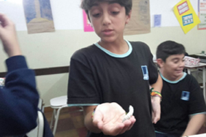 6º EP investigó la vida del gusano de seda 6º EP investigó la vida del gusano de seda