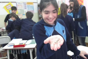 6º EP investigó la vida del gusano de seda 6º EP investigó la vida del gusano de seda