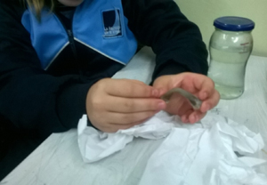 5º EP y el sistema-oseo-artromuscular 5º EP y el sistema-oseo-artromuscular
