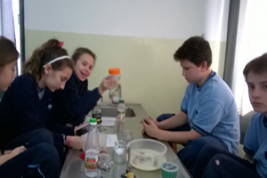5º EP y el sistema-oseo-artromuscular 5º EP y el sistema-oseo-artromuscular