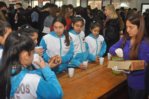 FIESTAS PATRONALES FIESTAS PATRONALES