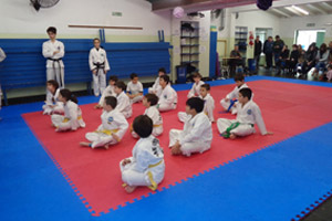 Taller de Taekwondo Taller de Taekwondo