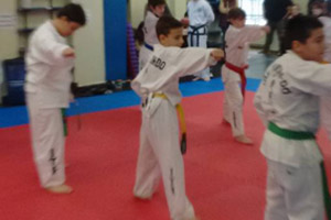 Taller de Taekwondo Taller de Taekwondo