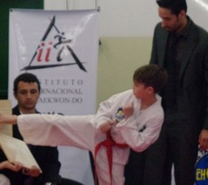 Taller de Taekwondo Taller de Taekwondo