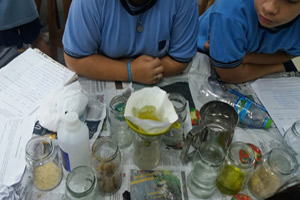 6º EP en el Laboratorio de Ciencias: mezclas y separación 6º EP en el Laboratorio de Ciencias: mezclas y separación