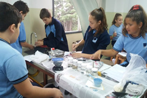 6º EP en el Laboratorio de Ciencias: mezclas y separación 6º EP en el Laboratorio de Ciencias: mezclas y separación