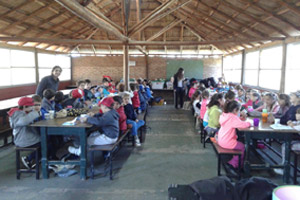 CAMPAMENTO 2º AÑO PRIMARIA CAMPAMENTO 2º AÑO PRIMARIA