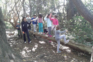 CAMPAMENTO 2º AÑO PRIMARIA CAMPAMENTO 2º AÑO PRIMARIA