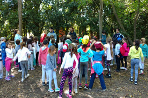 CAMPAMENTO 2º AÑO PRIMARIA CAMPAMENTO 2º AÑO PRIMARIA