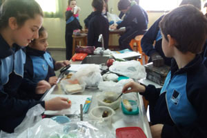 Experiencias con alimentos Experiencias con alimentos