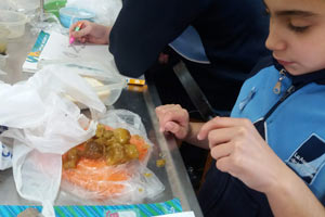 Experiencias con alimentos Experiencias con alimentos