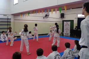 TALLERES TAEKWONDO TALLERES TAEKWONDO