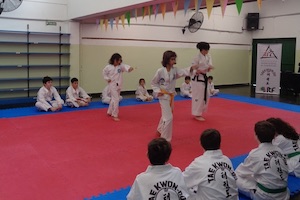 TALLERES TAEKWONDO TALLERES TAEKWONDO