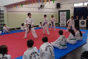 TALLERES TAEKWONDO TALLERES TAEKWONDO