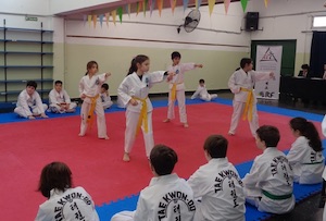 TALLERES TAEKWONDO TALLERES TAEKWONDO