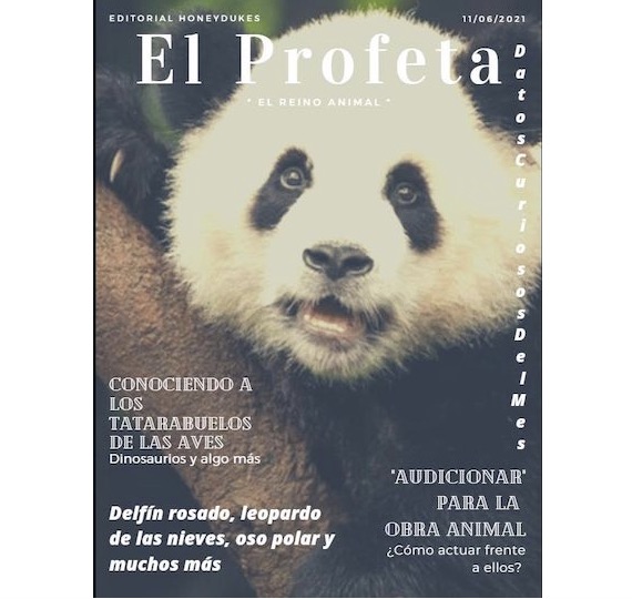 4 año y la Revista Digital