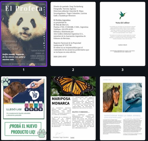 4 año y la Revista Digital