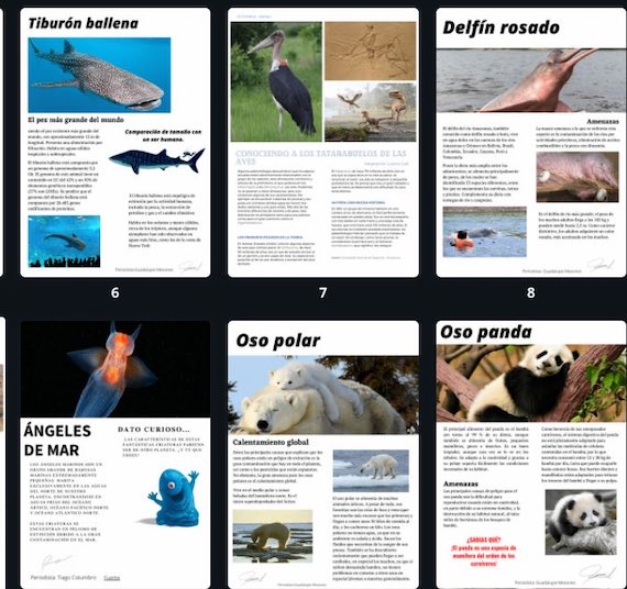 4 año y la Revista Digital