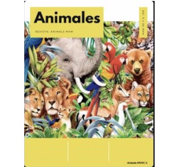 4 año y la Revista Digital