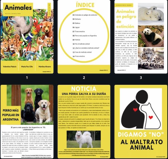 4 año y la Revista Digital