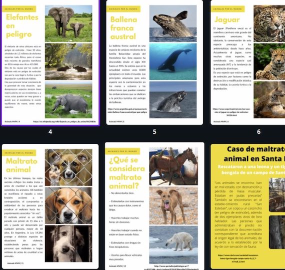 4 año y la Revista Digital