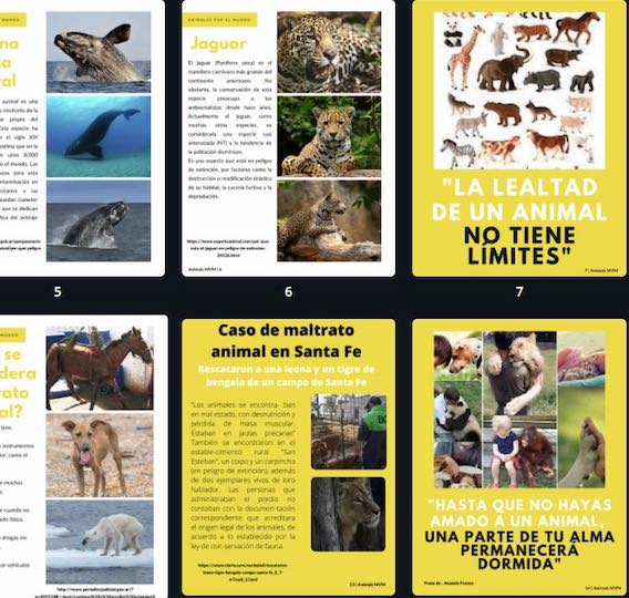 4 año y la Revista Digital