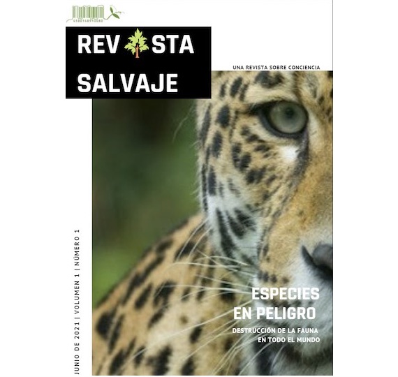 4 año y la Revista Digital