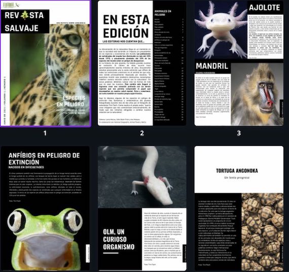 4 año y la Revista Digital