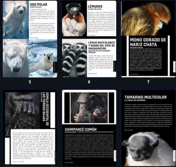 4 año y la Revista Digital