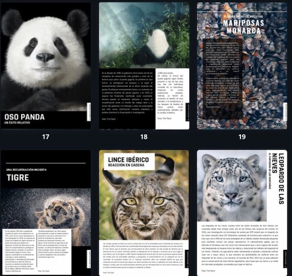 4 año y la Revista Digital