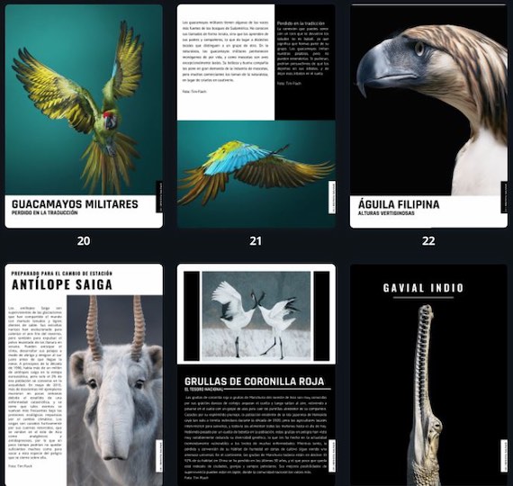 4 año y la Revista Digital
