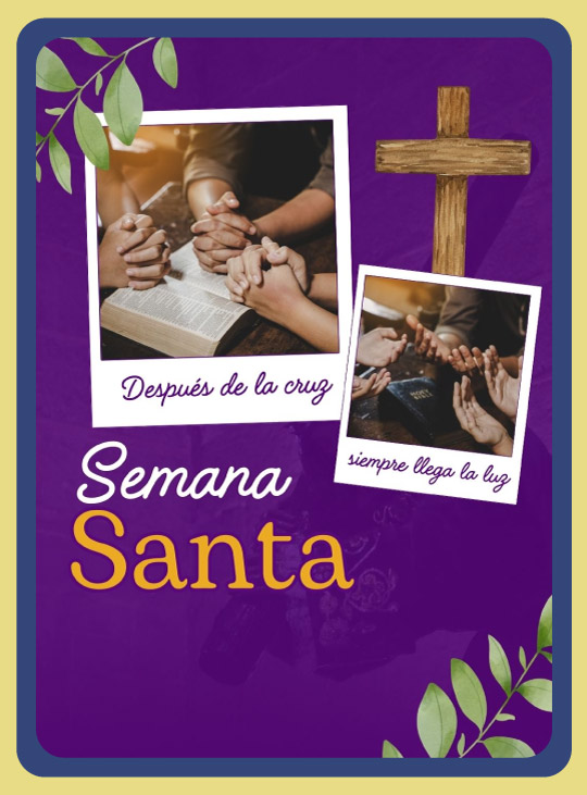 Novedades La Asunción de la Virgen