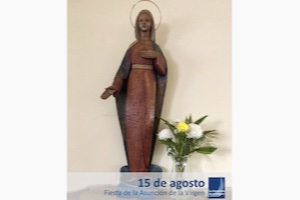 Novedades