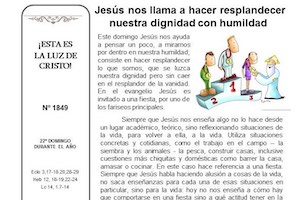 Novedades