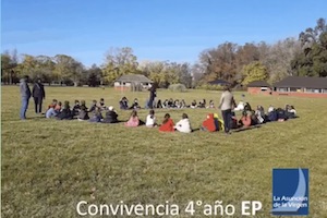 Novedades