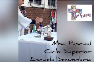 Novedades