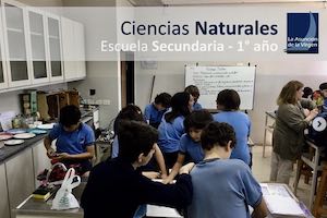 Novedades