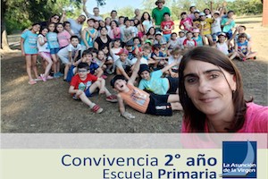 Novedades